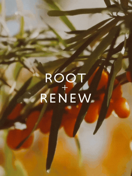 Root & Renew email mkgt sea buckthorn oil