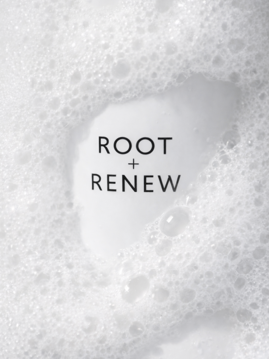 Root & Renew welcome